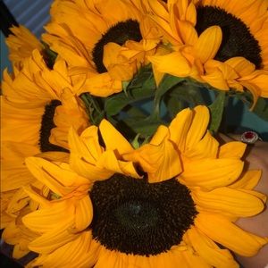 Meet your Posher, Samantha